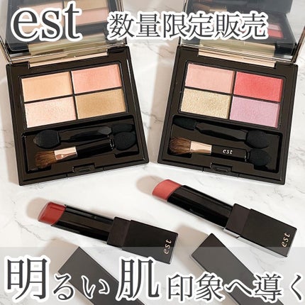 デイライト タッチ アイシャドウ  EX11 黎明/est/アイシャドウパレットを使ったクチコミ(1枚目)