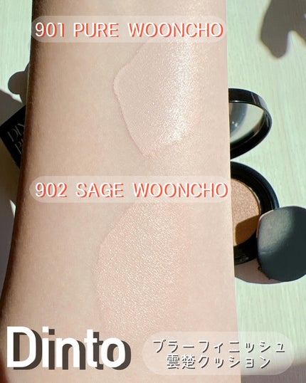 ブラーフィニシュブラッシャー/Dinto/パウダーチークを使ったクチコミ(5枚目)