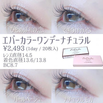エバーカラーワンデー ナチュラル/エバーカラー/ワンデー(1DAY)カラコンを使ったクチコミ(3枚目)