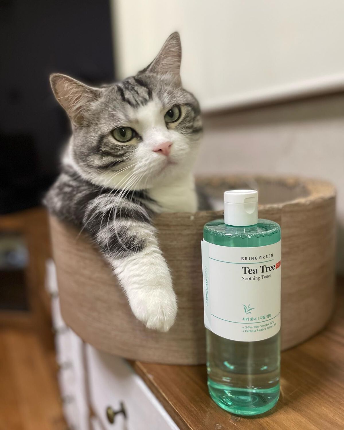 ティーツリーシカスージングトナー/BRING GREEN/化粧水を使ったクチコミ(1枚目)