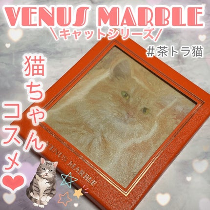 Venus Marble アイシャドウキャットシリーズ/Venus Marble/アイシャドウパレットを使ったクチコミ(1枚目)