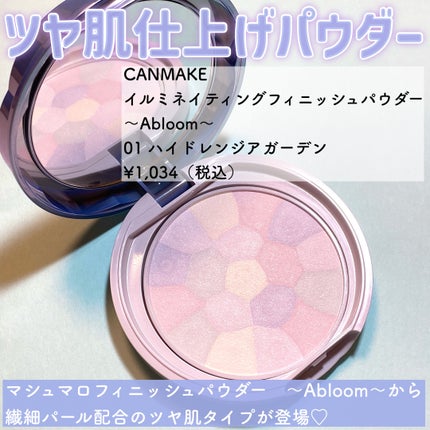 イルミネイティングフィニッシュパウダー ~Abloom~/キャンメイク/プレストパウダーを使ったクチコミ(2枚目)
