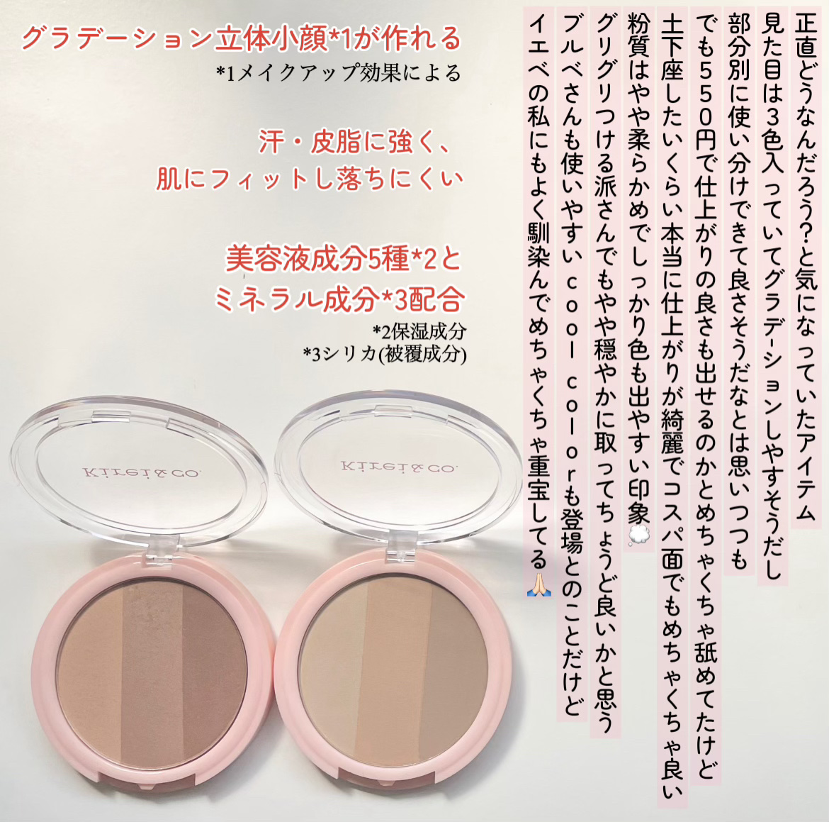 3カラーシェーディングパレット cool color/Kirei&co./シェーディングを使ったクチコミ（2枚目）