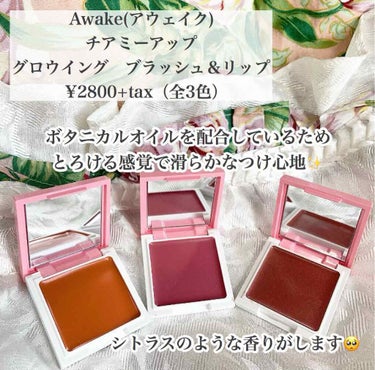 チアミーアップ グロウイング ブラッシュ＆リップ 02 cinnamon beige/Awake/口紅を使ったクチコミ（1枚目）