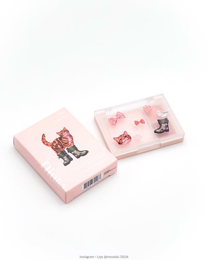 (ルシャブートコレクション)チーク&アイ マルチユーズ パレット/Dinto/パウダーチークを使ったクチコミ(6枚目)