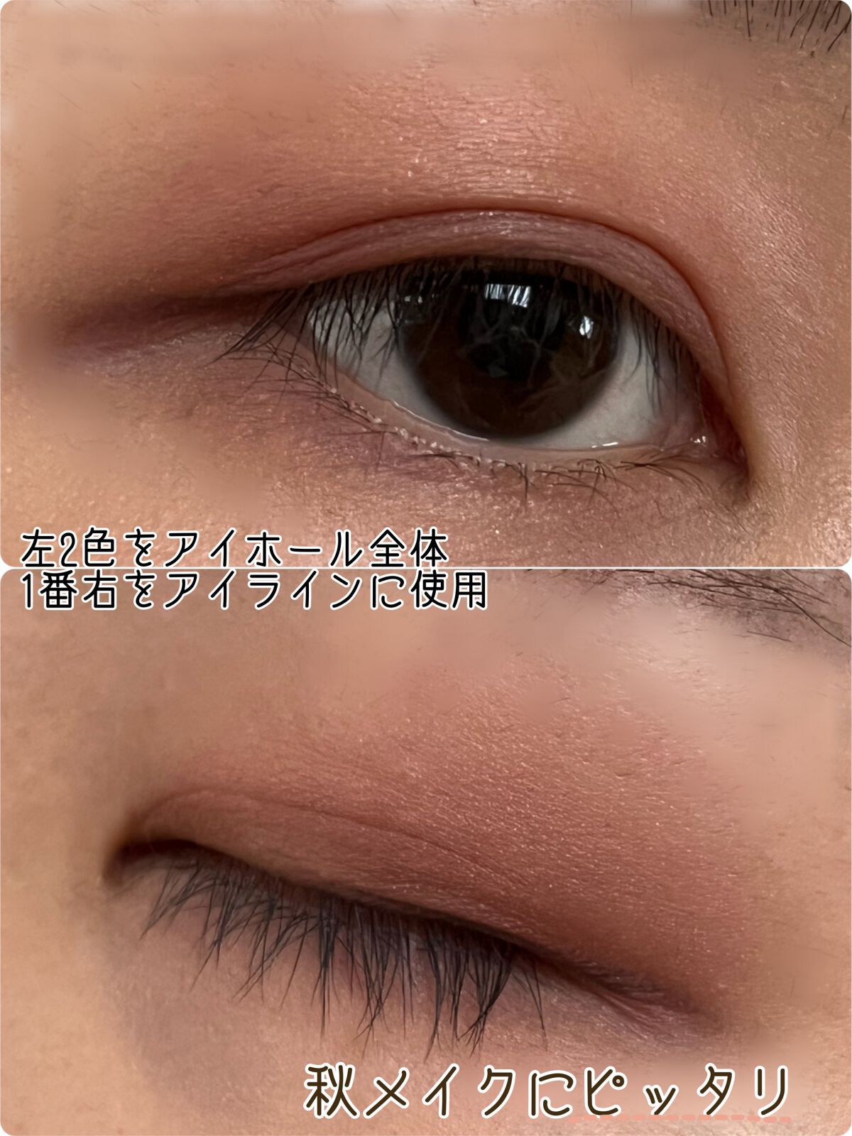 アイパレット/ナチュラグラッセ/アイシャドウパレットを使ったクチコミ(4枚目)