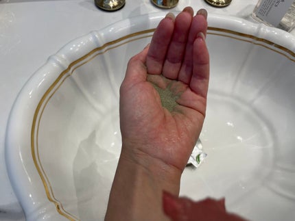 ワフードメイド 宇治抹茶酵素洗顔/pdc/洗顔パウダーを使ったクチコミ(1枚目)