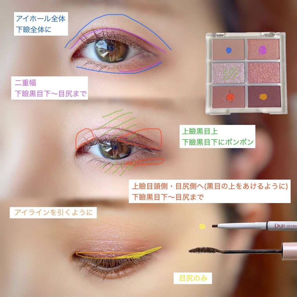 プロアイシャドウパレットセシル/CELEFIT/アイシャドウパレットを使ったクチコミ（2枚目）