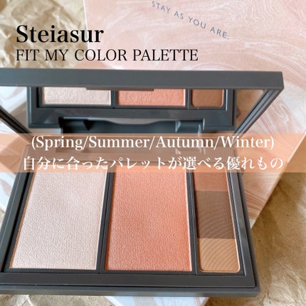 フィット my カラーパレット/STEIASUR(ステイアシュール)/マルチパレットを使ったクチコミ(1枚目)