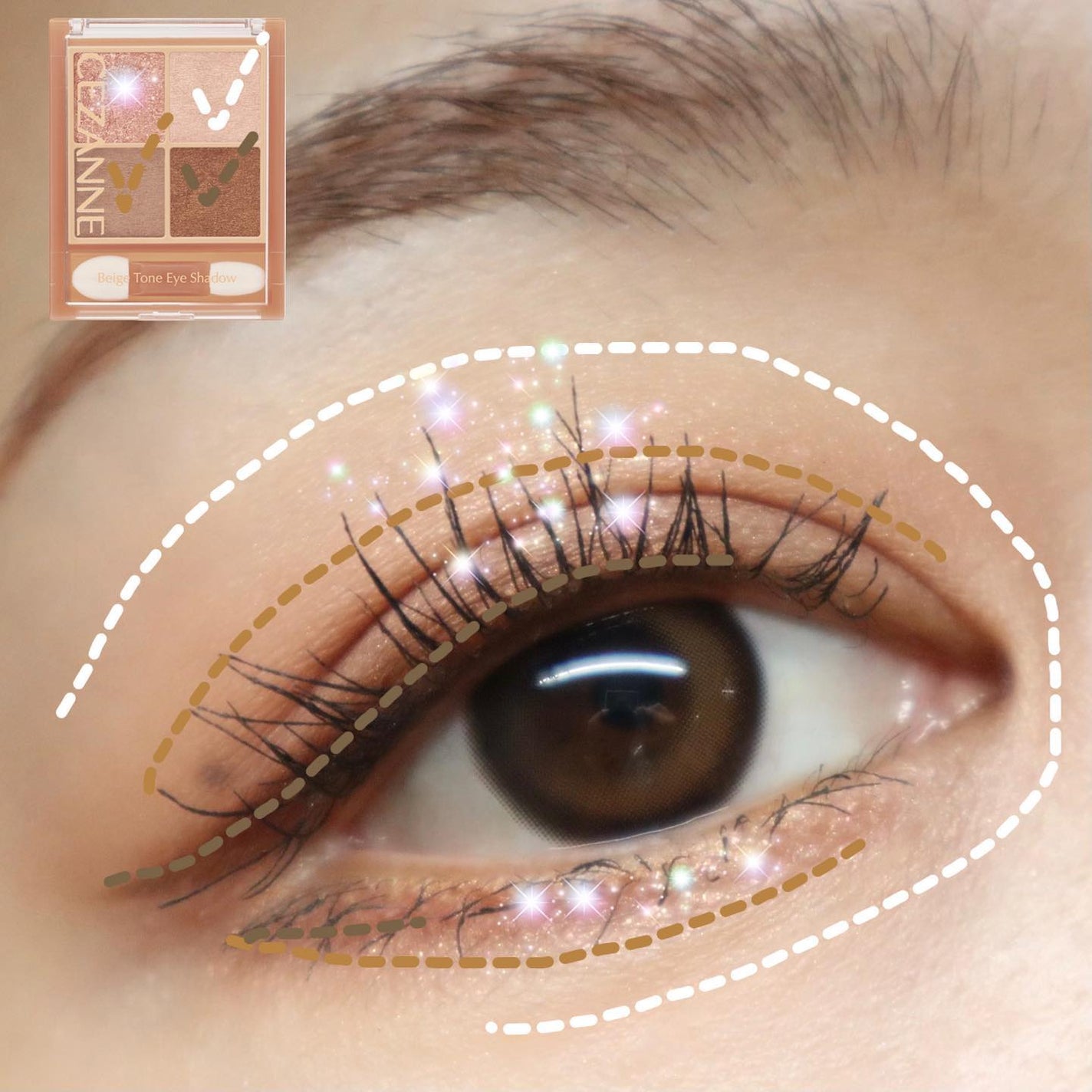 ベージュトーンアイシャドウ/CEZANNE/アイシャドウパレットを使ったクチコミ(5枚目)