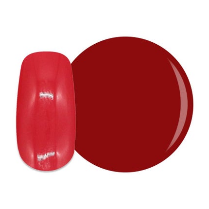 12 チューリップ