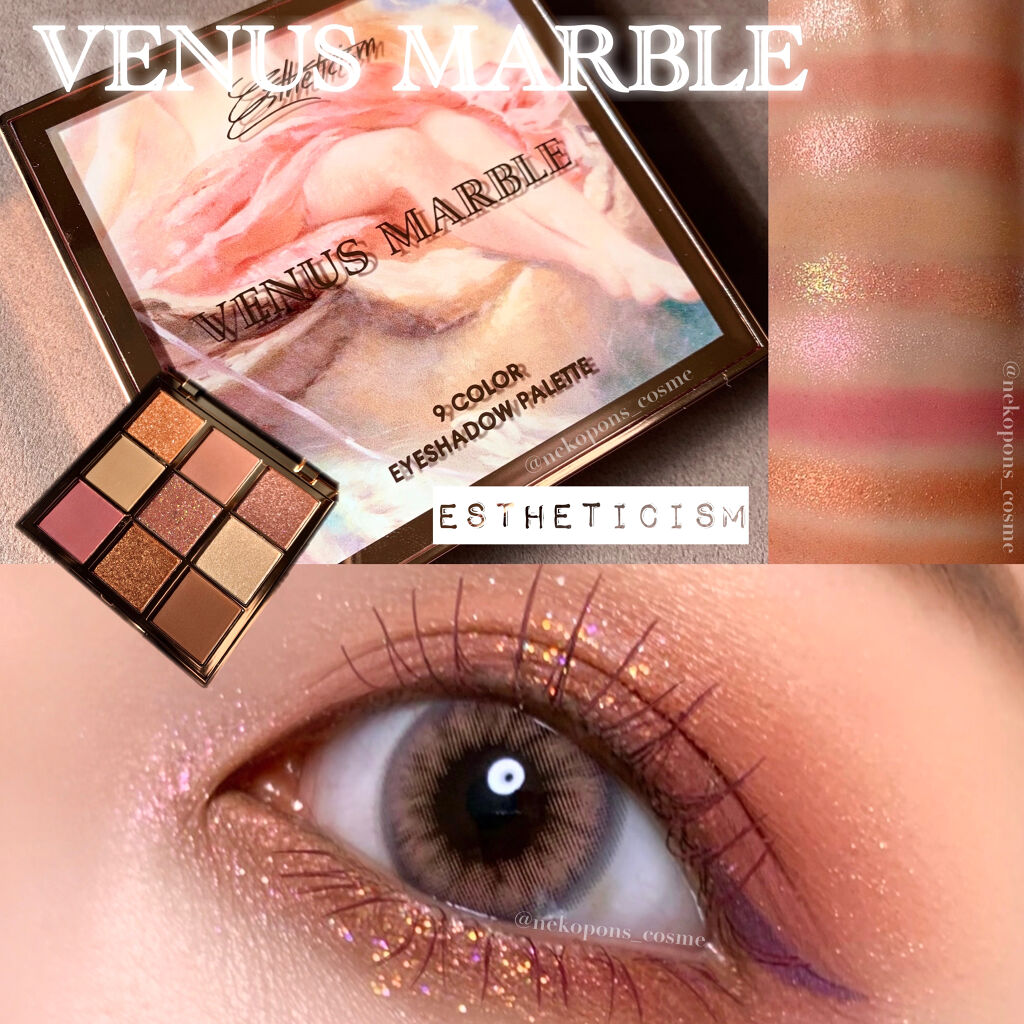 VenusMarble 9色アイシャドウパレット Estheticism（エステティシズム）/Venus Marble/アイシャドウパレットを使ったクチコミ（1枚目）
