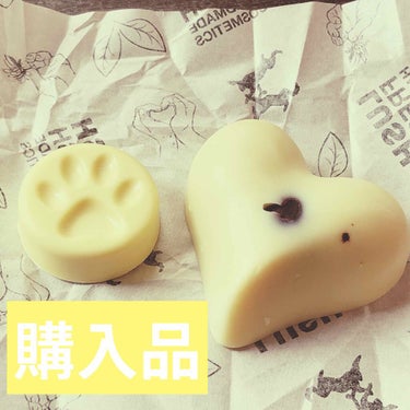 LUSH 購入品  20/10/28
チャリティポット コイン  /ハンド＆ボディローション
10g/160円

売上げの全額（消費税を除く）が、
動物の権利擁護、人権擁護、環境の保護に取り組む
草の根