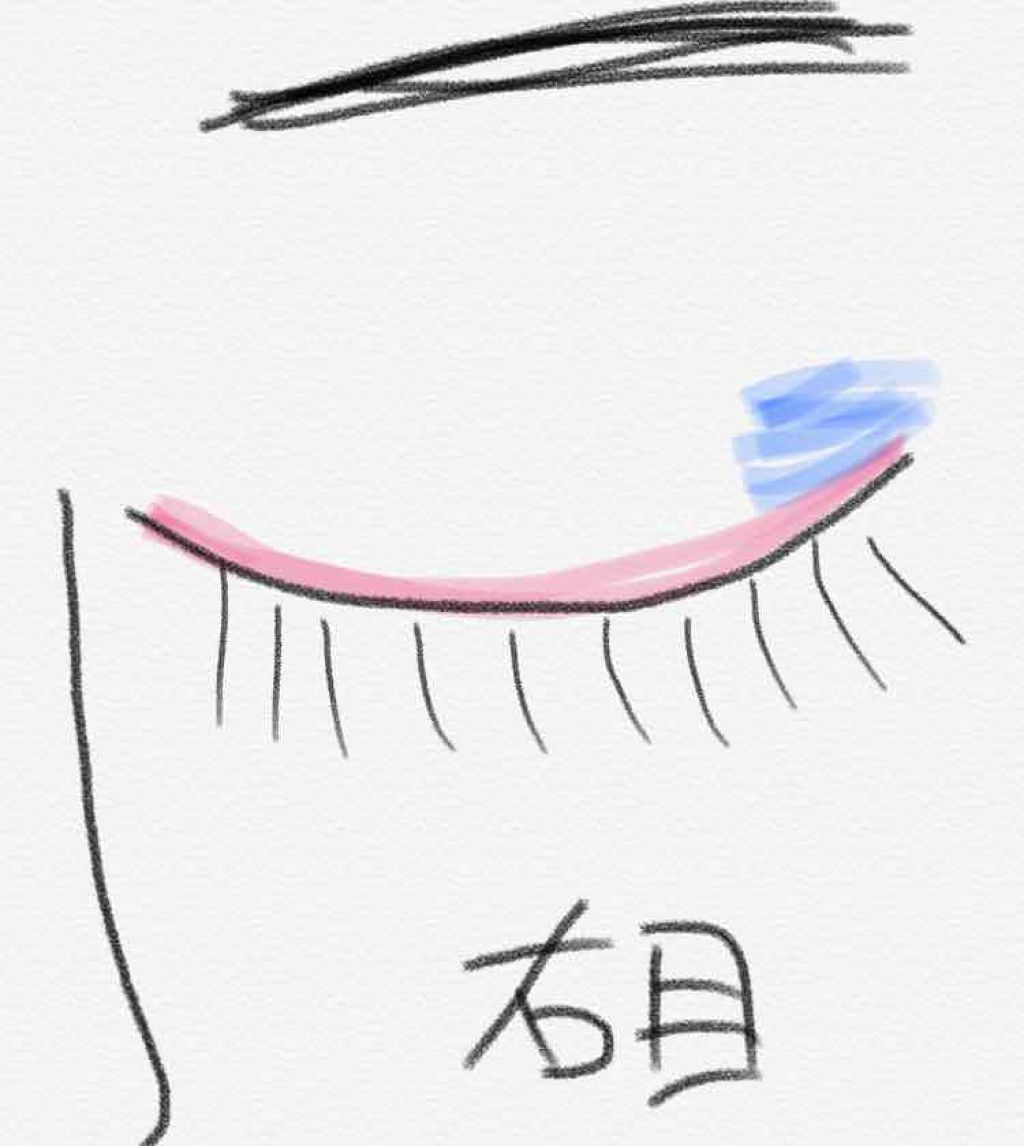クイックラッシュカーラー/キャンメイク/マスカラ下地を使ったクチコミ(2枚目)