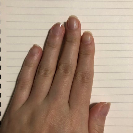 を使ったクチコミ(1枚目)