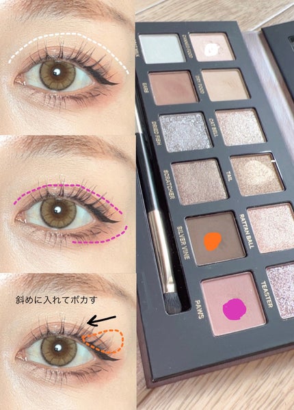 エクスプローラ12色 動物アイシャドウパレット/PERFECT DIARY/アイシャドウパレットを使ったクチコミ(4枚目)