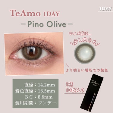 TeAmo 1DAY ピノ グレー/TeAmo/ワンデー（１DAY）カラコンの画像