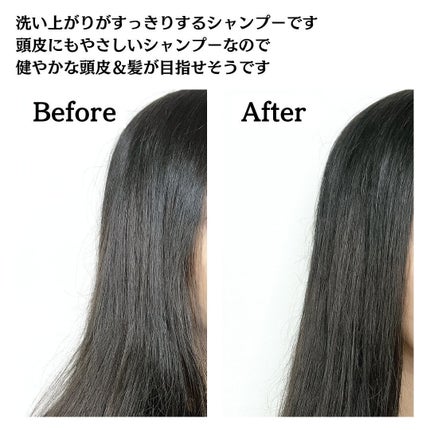 パレ スパークリングシャンプー スカルプクレンズ/PALAIS/頭皮ケアを使ったクチコミ(7枚目)