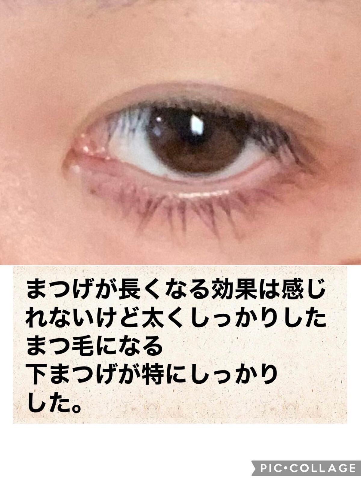 まつげ美容液EX/CEZANNE/まつげ美容液を使ったクチコミ(2枚目)