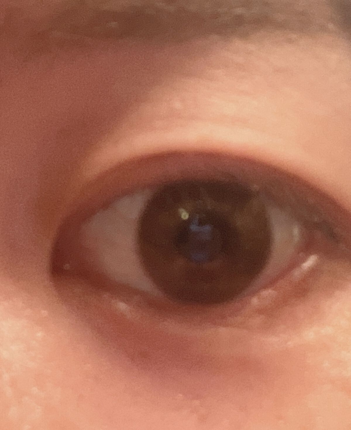 Flurry by colors 1day/Flurry by colors/ワンデー（１DAY）カラコンを使ったクチコミ（2枚目）