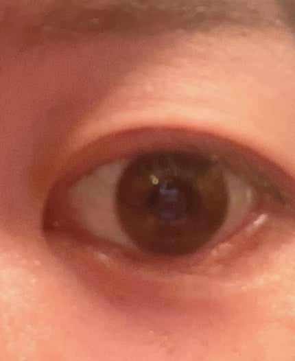 Flurry by colors 1day/Flurry by colors/ワンデー(1DAY)カラコンを使ったクチコミ(2枚目)