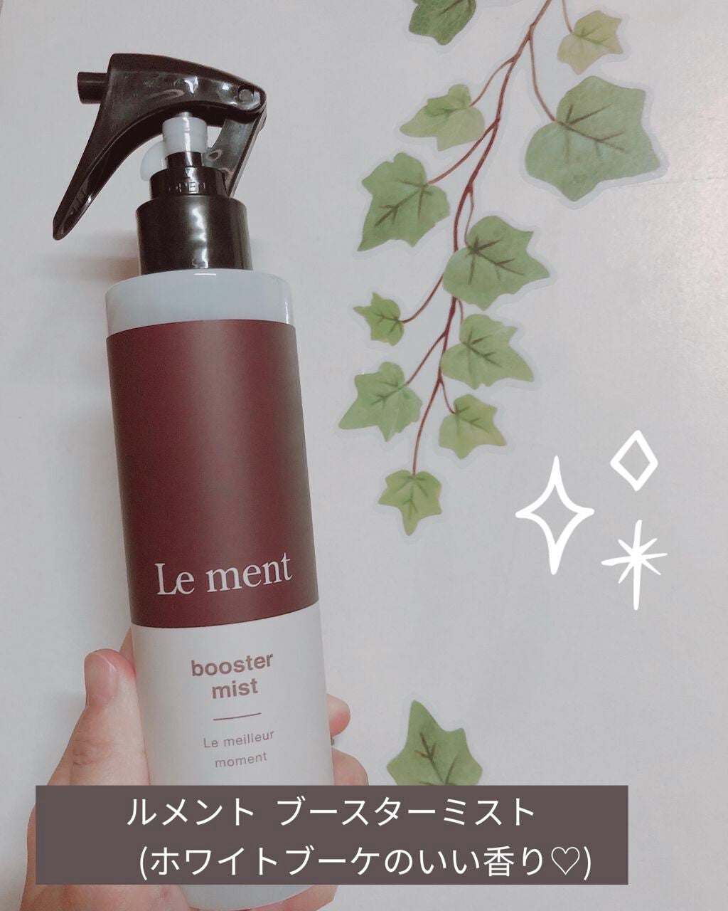 ブースターミスト/Le ment/アウトバストリートメントを使ったクチコミ(1枚目)