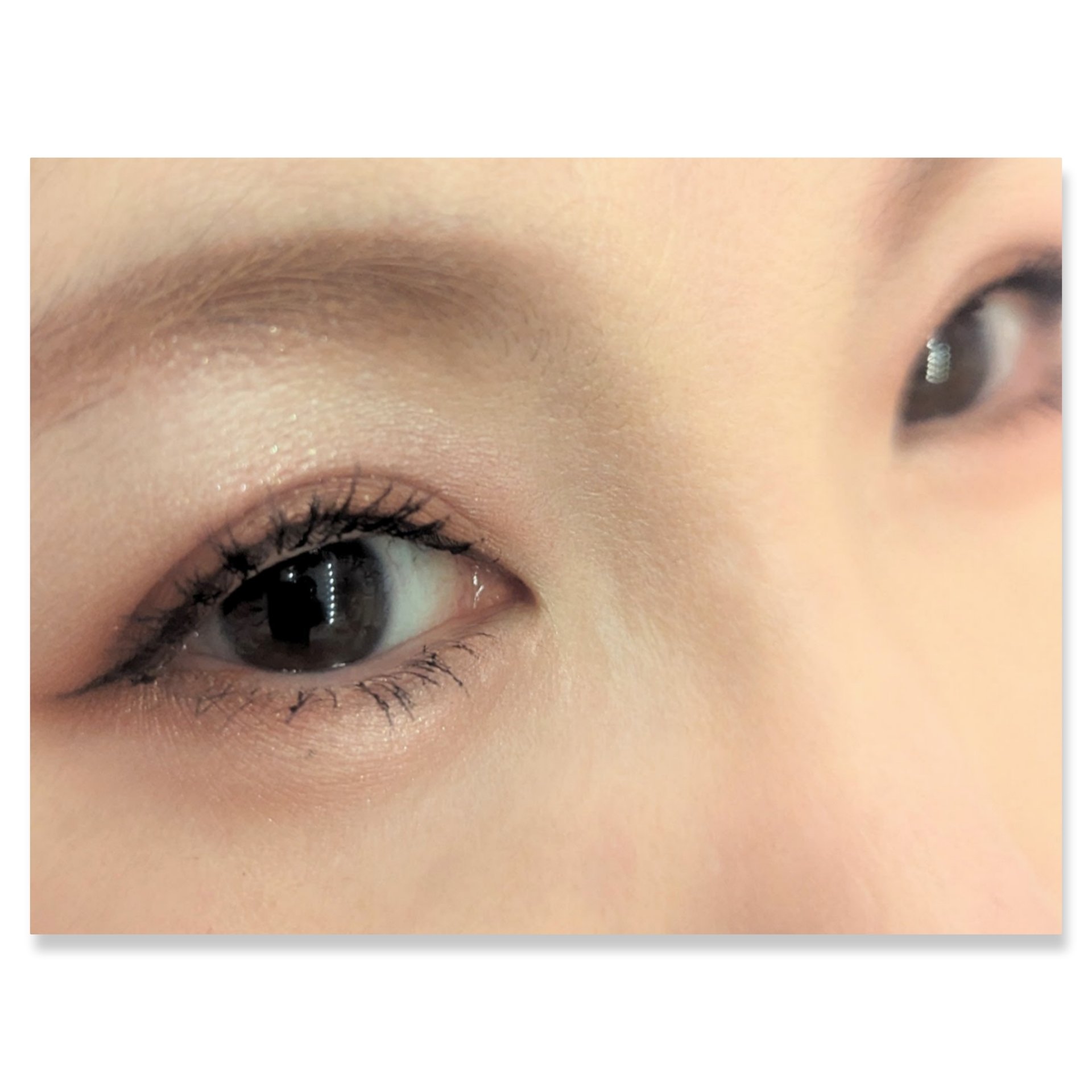 ロイヤルヴィンテージ アイズ/リンメル ロンドン/アイシャドウパレットを使ったクチコミ（2枚目）