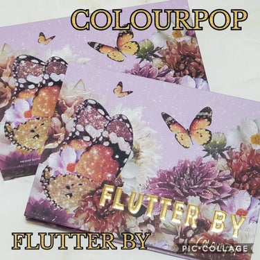 FLUTTER BY/ColourPop/アイシャドウパレットを使ったクチコミ（1枚目）