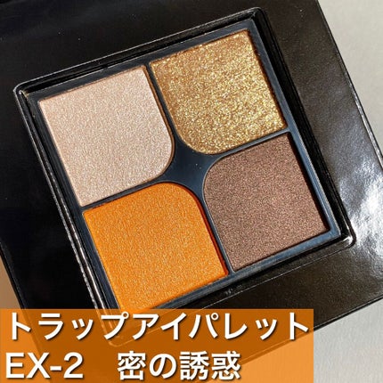 トラップアイパレット/KATE/アイシャドウパレットを使ったクチコミ(6枚目)