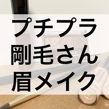 ノーズ＆アイブロウパウダー/CEZANNE/パウダーアイブロウを使ったクチコミ（1枚目）