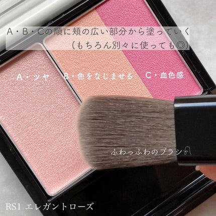 スキンフィットチーク RS1 エレガントローズ/リサージ/パウダーチークを使ったクチコミ(2枚目)