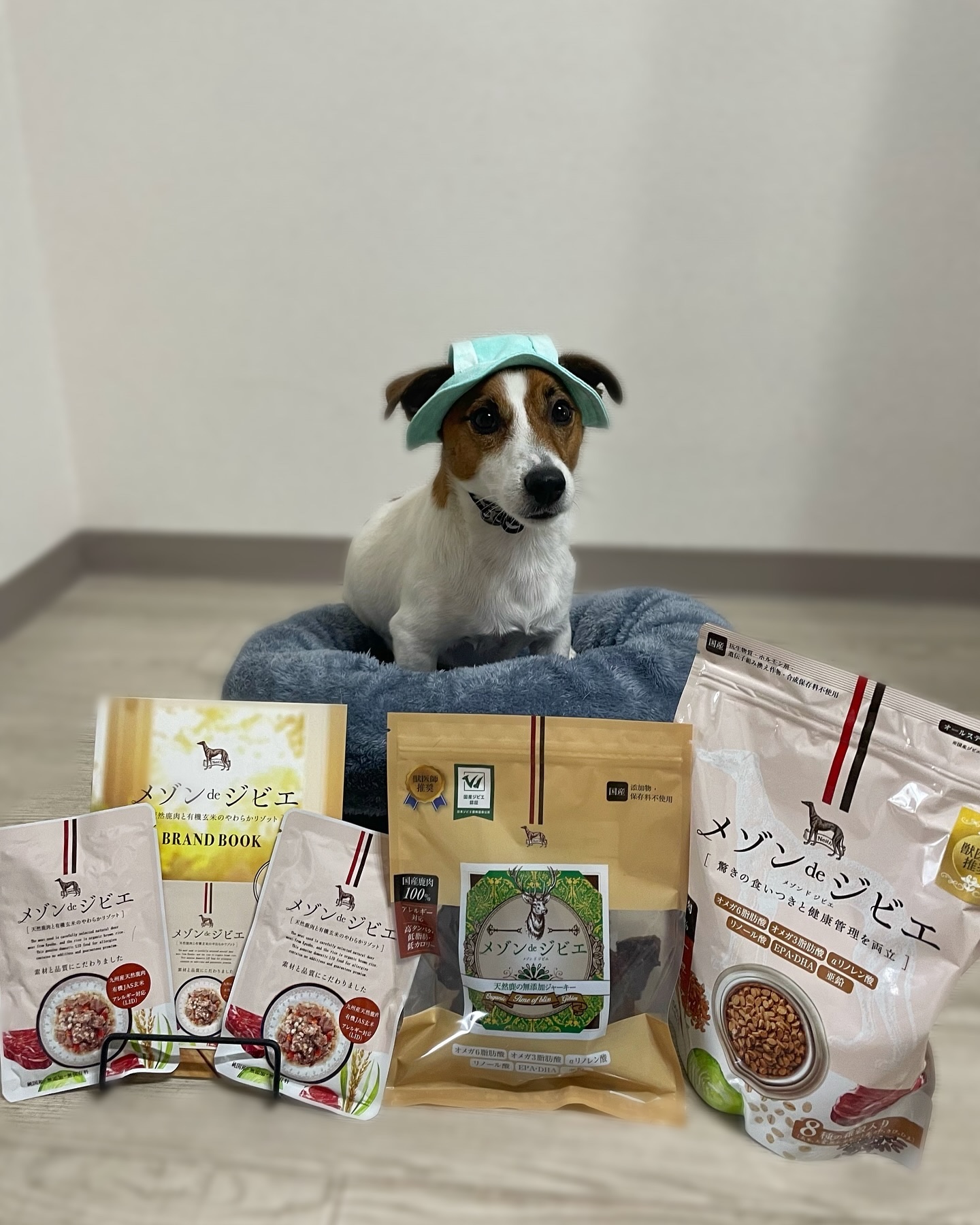 天然鹿肉セット/メゾンドジビエ/その他食品を使ったクチコミ（1枚目）