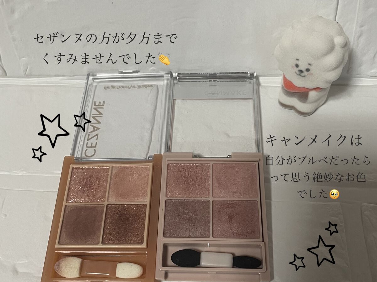 シルキースフレアイズ（マットタイプ）/キャンメイク/アイシャドウパレットを使ったクチコミ（2枚目）