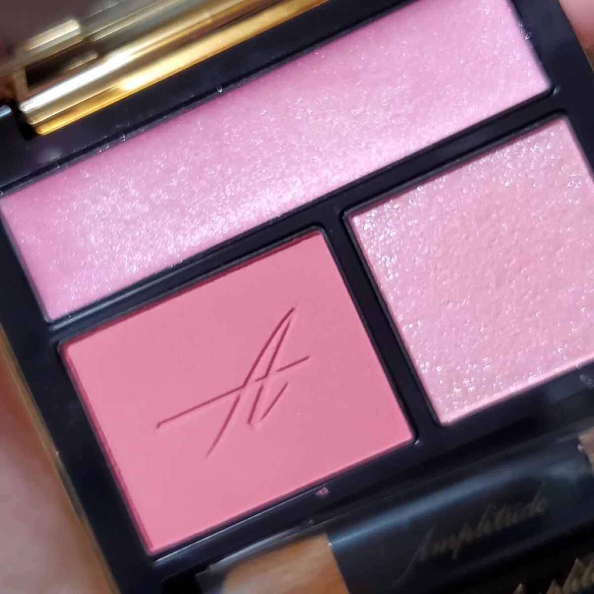 コンスピキュアス アイズ/Amplitude/アイシャドウパレットを使ったクチコミ（2枚目）