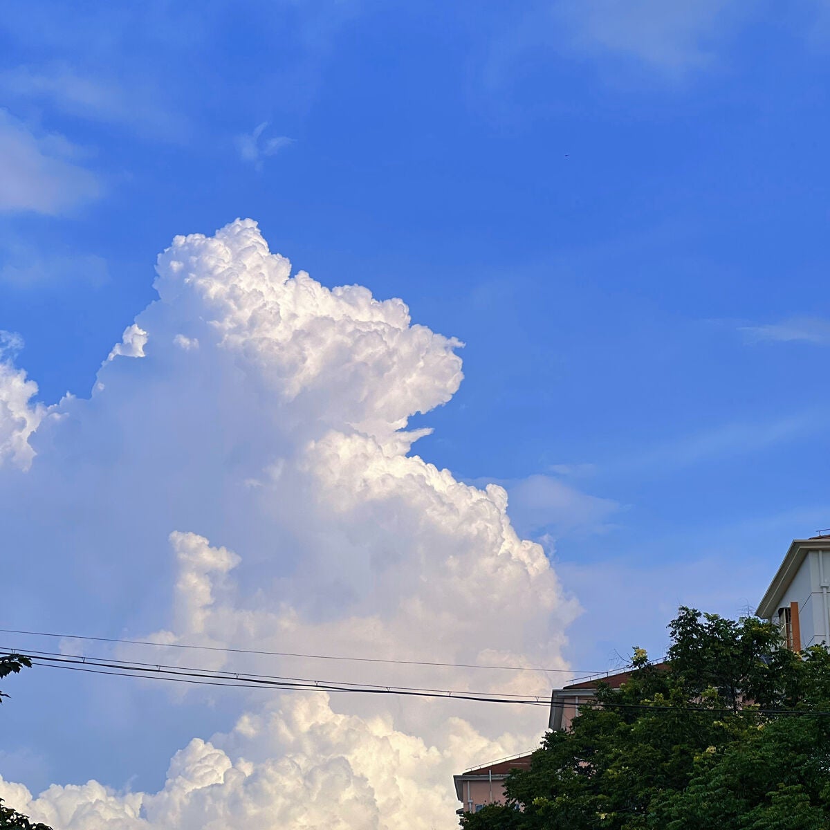 ダブル ウェア ステイ イン プレイス メークアップ /ESTEE LAUDER/リキッドファンデーションを使ったクチコミ(3枚目)