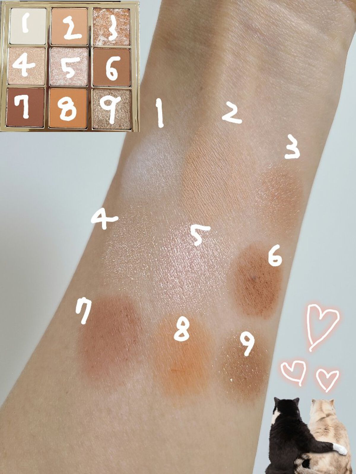 浮生大梦 9色アイシャドウパレット C11 浮生若夢/CATKIN/アイシャドウパレットを使ったクチコミ（2枚目）