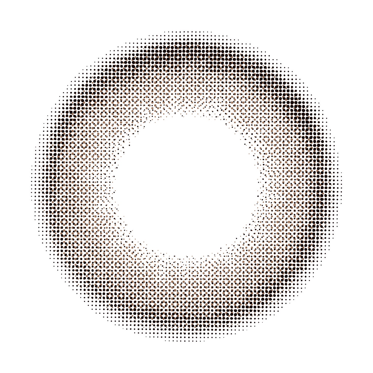 TOPARDS 1day モカリング