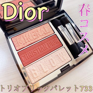 トリオ ブリック パレット/Dior/アイシャドウパレットを使ったクチコミ（1枚目）