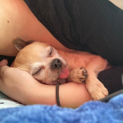 しに子ちゃん on LIPS 「漢検と英検の二級を受けるか準一級受けるかで迷ってる。漢検のホー..」(6枚目)