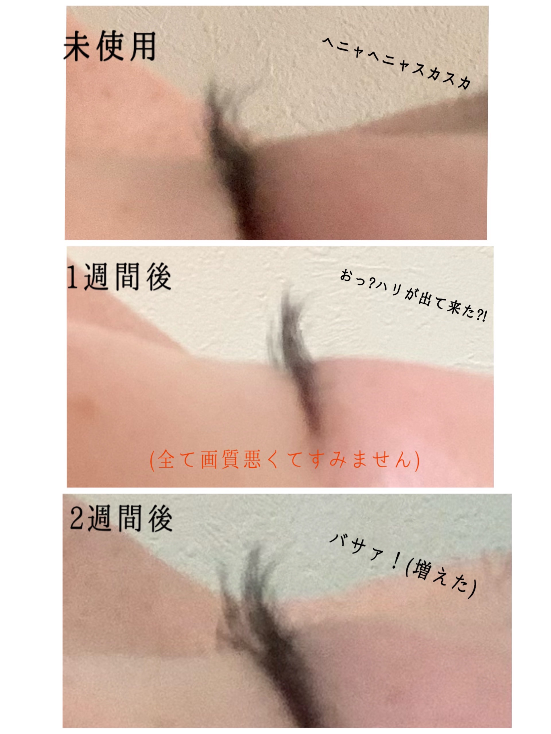 ラッシュジェリードロップ EX プレミアム/MAJOLICA MAJORCA/まつげ美容液を使ったクチコミ（3枚目）