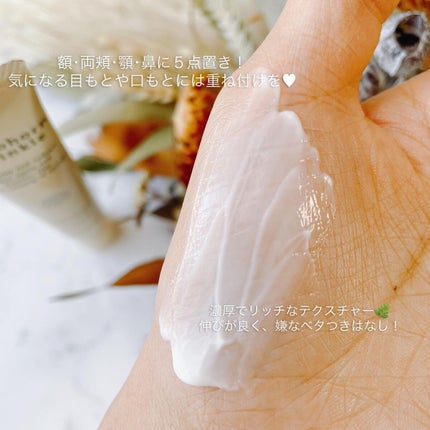 クリーム20/ドモホルンリンクル/フェイスクリームを使ったクチコミ(4枚目)