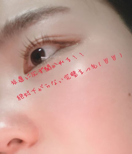 カービングアイラッシュカーラー/コージー/ビューラーを使ったクチコミ(1枚目)