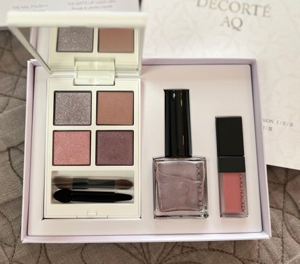 ホリデー アディクション サイレント ウィッシュⅠ/ADDICTION/メイクアップキットを使ったクチコミ(2枚目)