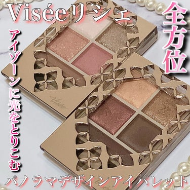 パノラマデザイン アイパレット/Visée/アイシャドウパレットを使ったクチコミ（1枚目）