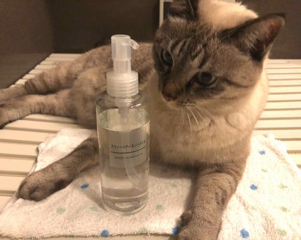 スウィートアーモンドオイル/無印良品/ボディオイルを使ったクチコミ(1枚目)