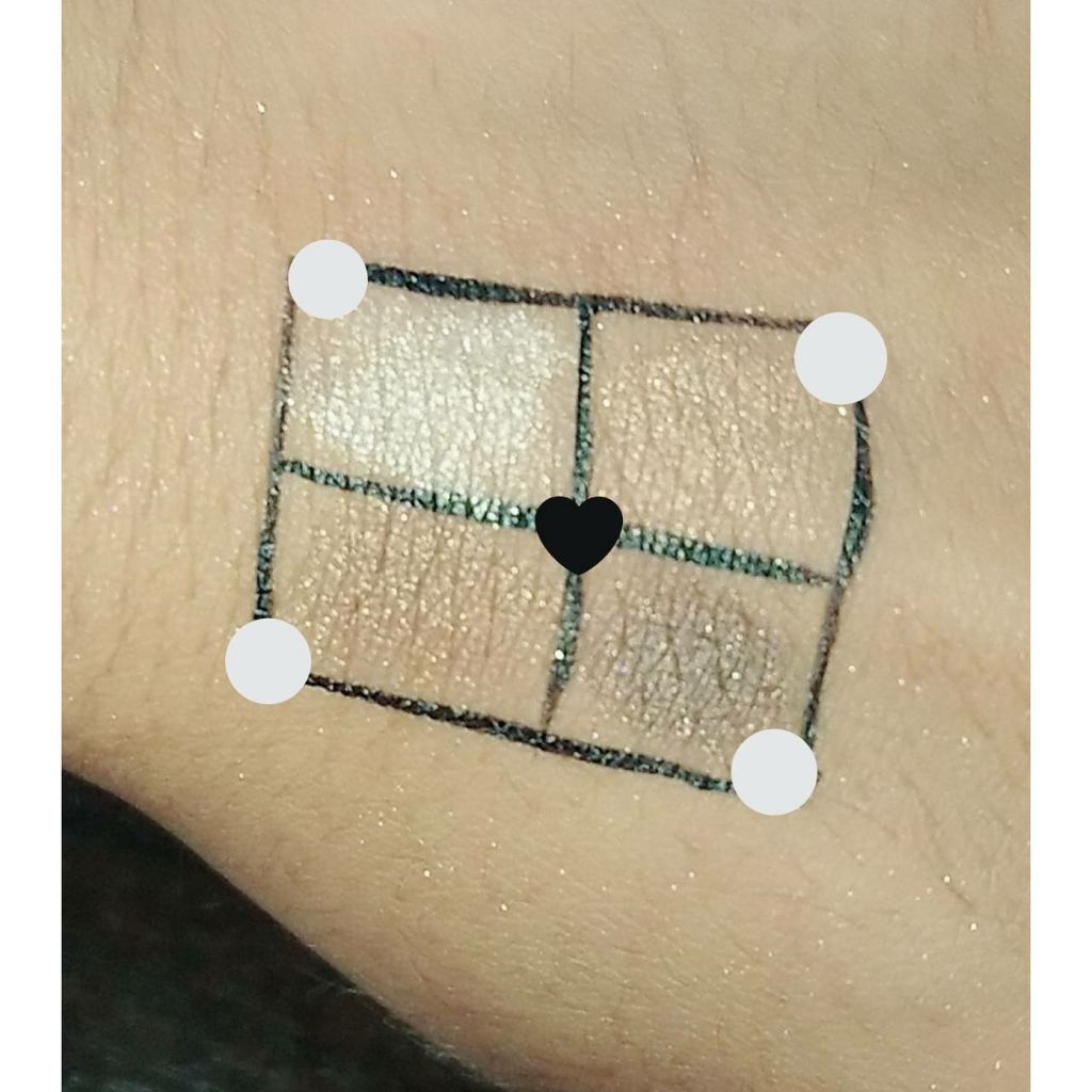 スキニーリッチシャドウ/excel/アイシャドウパレットを使ったクチコミ（2枚目）