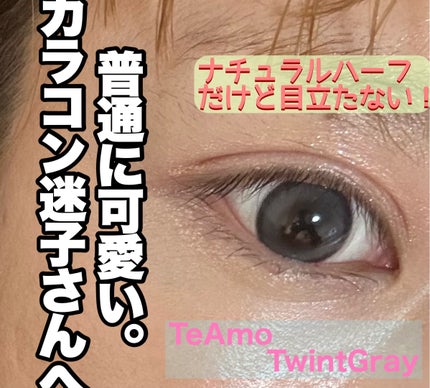 TeAmo 1month ツイント グレー/TeAmo/1ヶ月(1MONTH)カラコンの画像