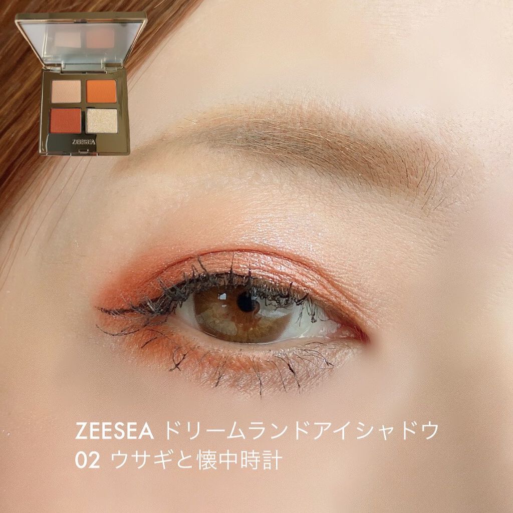 ドリームランドアイシャドウ ( 4シェード ) #02 ブラウン/ZEESEA/アイシャドウパレットを使ったクチコミ（1枚目）