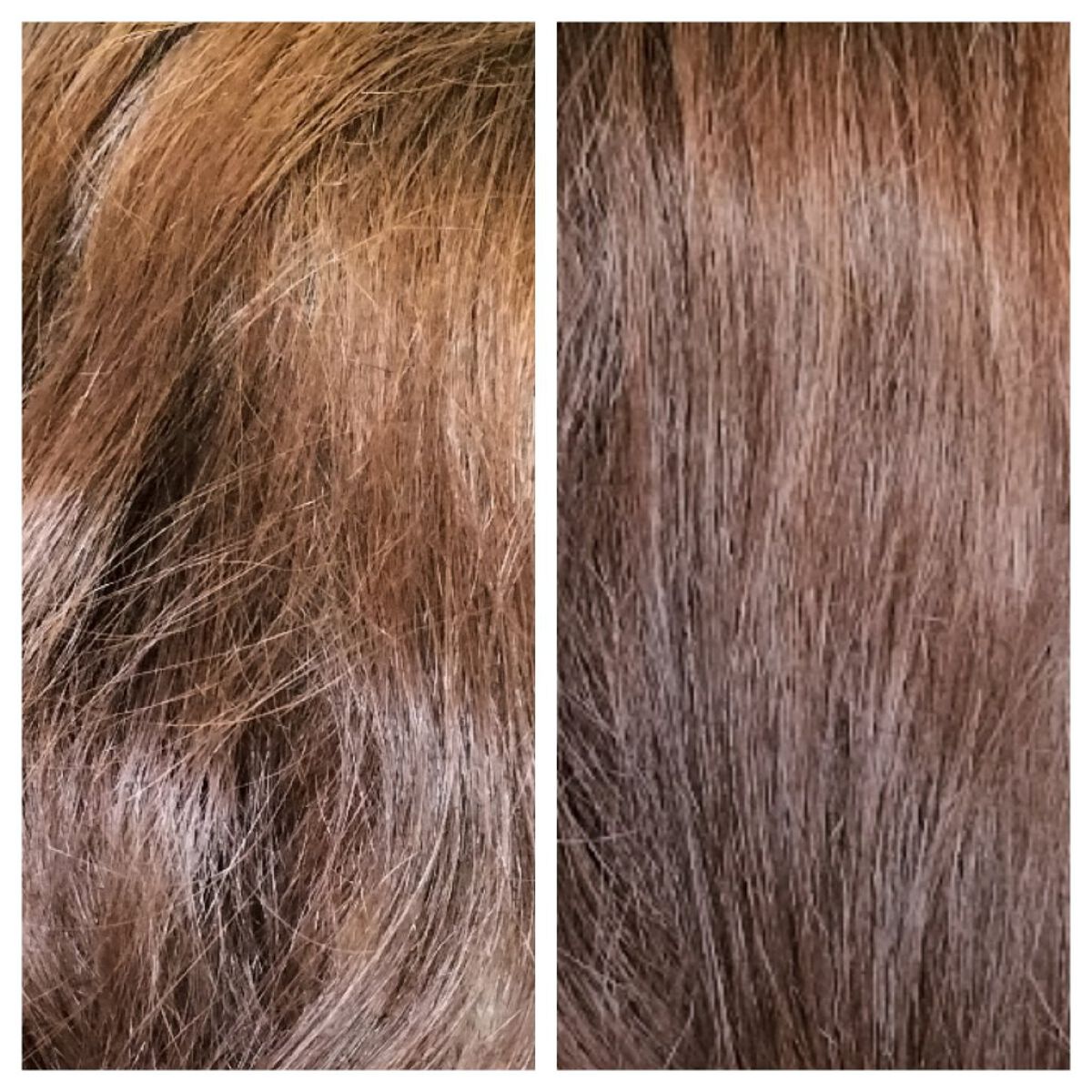 エッセンシャル プレミアム ウォータートリートメント EXスムース/エッセンシャル/アウトバストリートメントを使ったクチコミ（3枚目）