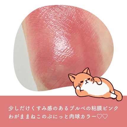 ネンマクフェイク ルージュ PK851 わがままな肉球/Visée/口紅を使ったクチコミ(2枚目)